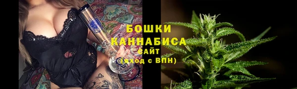 индика Вязники